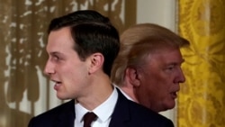 Donald Trump-ın kürəkəni və baş müşaviri Jared Kushner