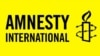 Amnesty International призвала ООН добиться прекращения войны в Сирии 