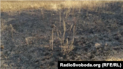 Снимок журналиста Радіо Свобода дополнил доказательную базу Международной следственной группы