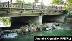 Салгир. Река-болото в центре Симферополя (фотогалерея)